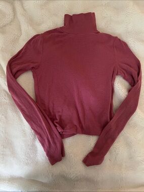 Wilfred Aritzia Ribbed Turtleneck Long Sleeve Top - Rosewood